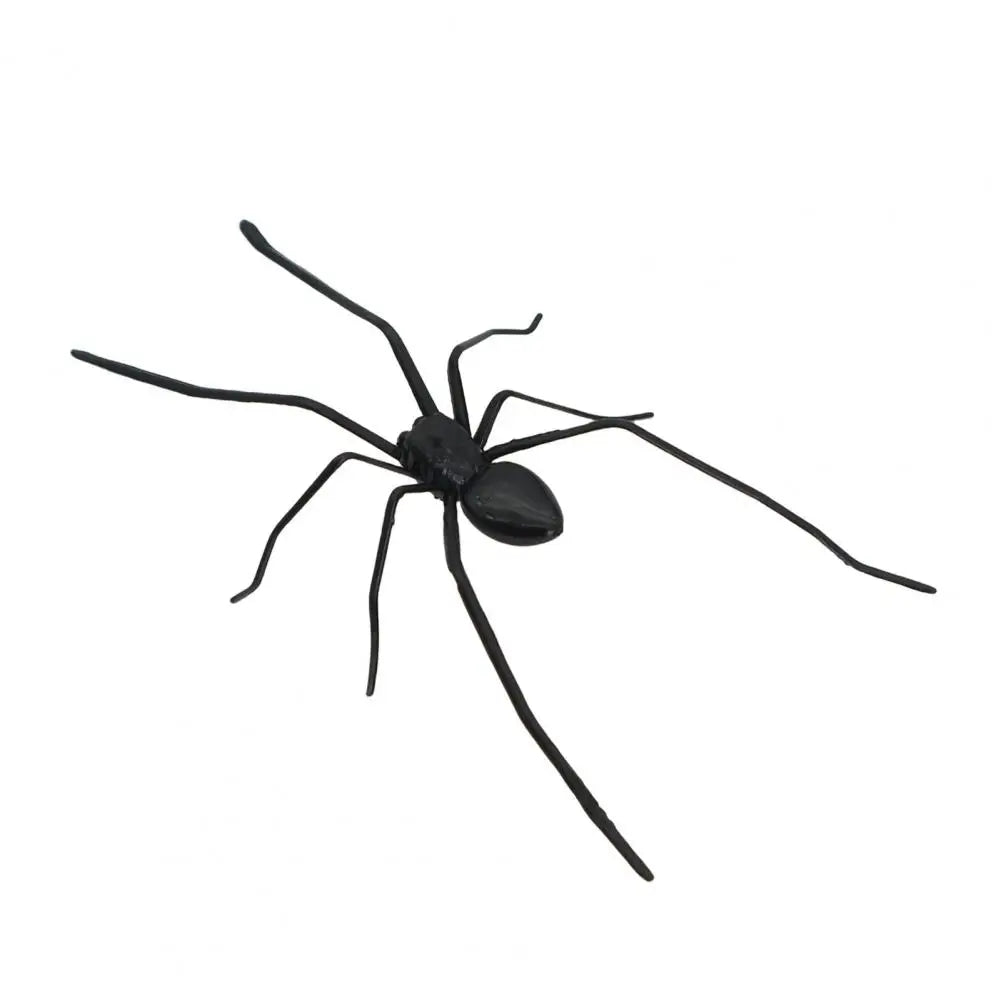 Araignée Magnétique Réaliste Effrayant