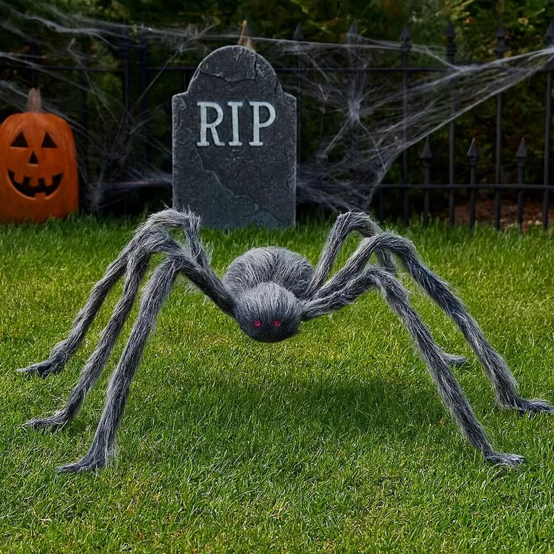 Araignée Noire et Blanche Géante