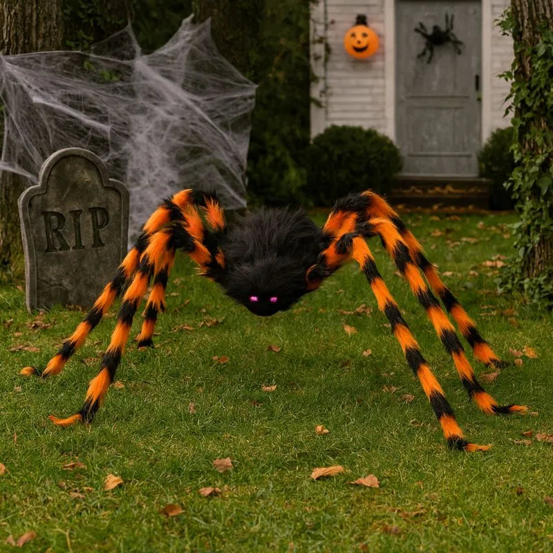 Araignée Noire et Orange Géante