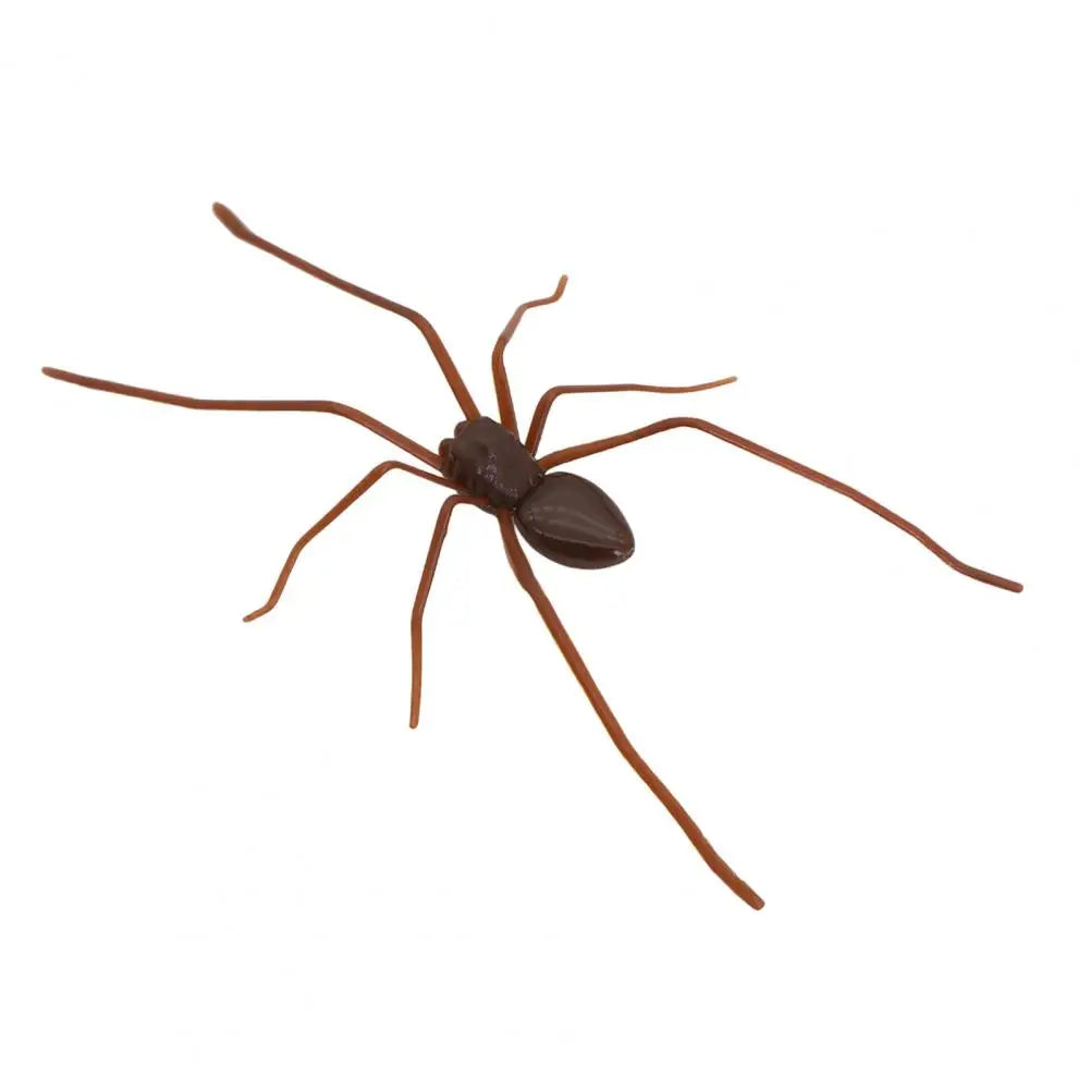 Araignée magnétique Marron