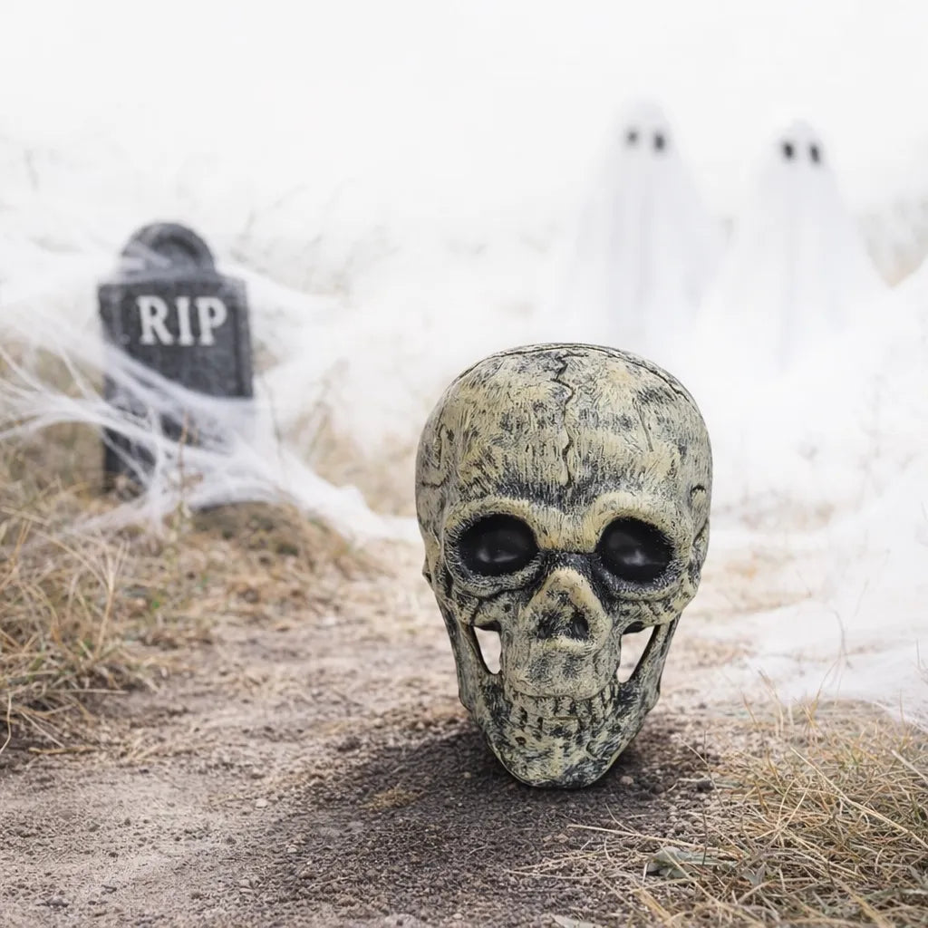 Crâne Halloween Décoratif