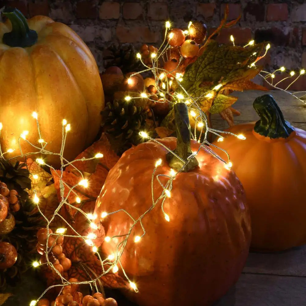 Guirlande Lumineuse Noël Jardin chaleureuse
