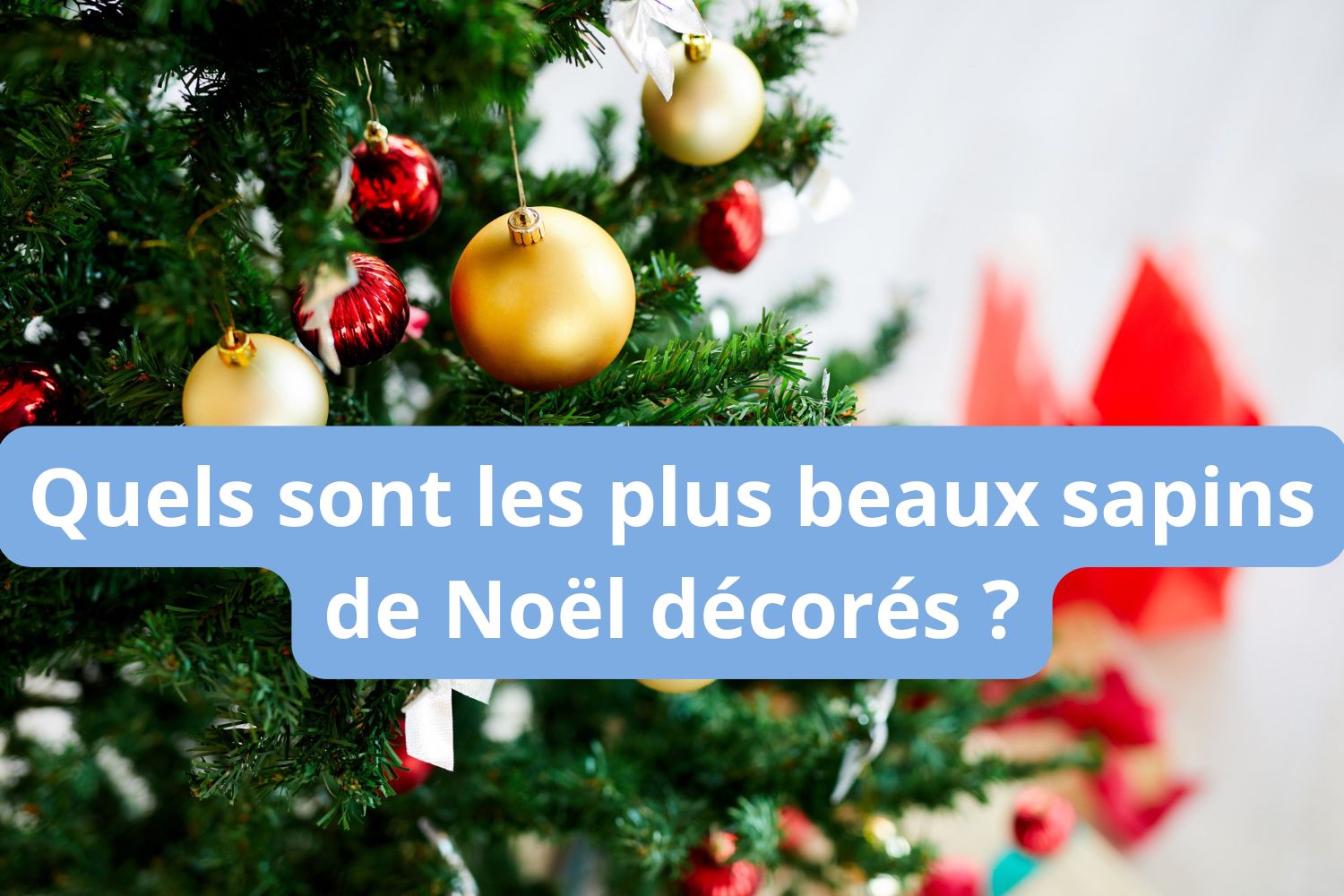 Quels sont les plus beaux sapins de Noël décorés ?
