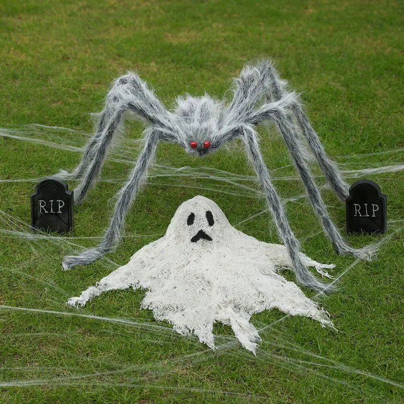 Araignée Géante Grise