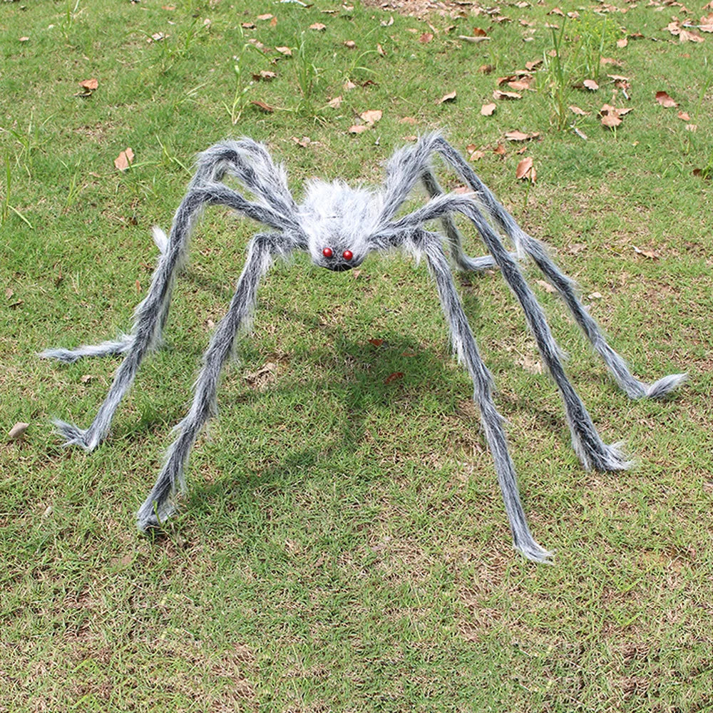 Araignée Géante Grise Durable