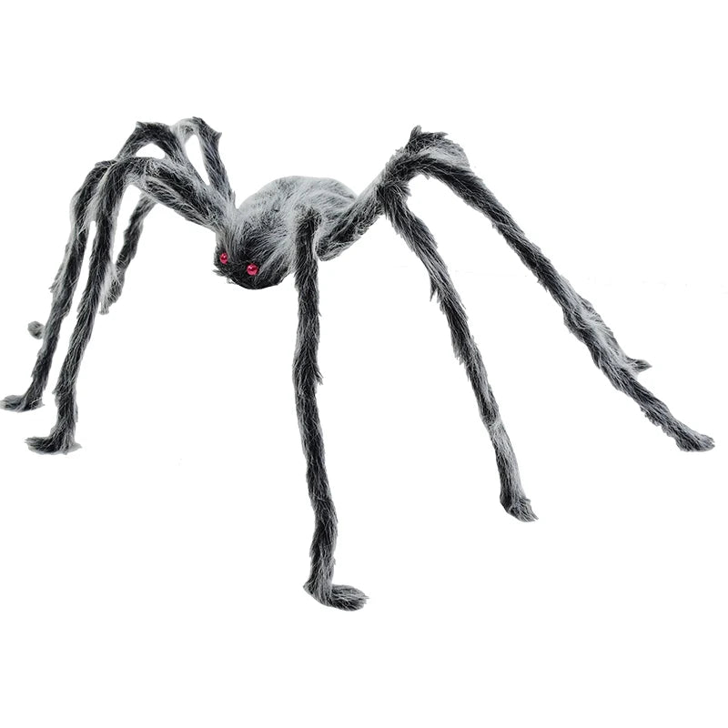 Araignée Noire et Blanche Géante Chic