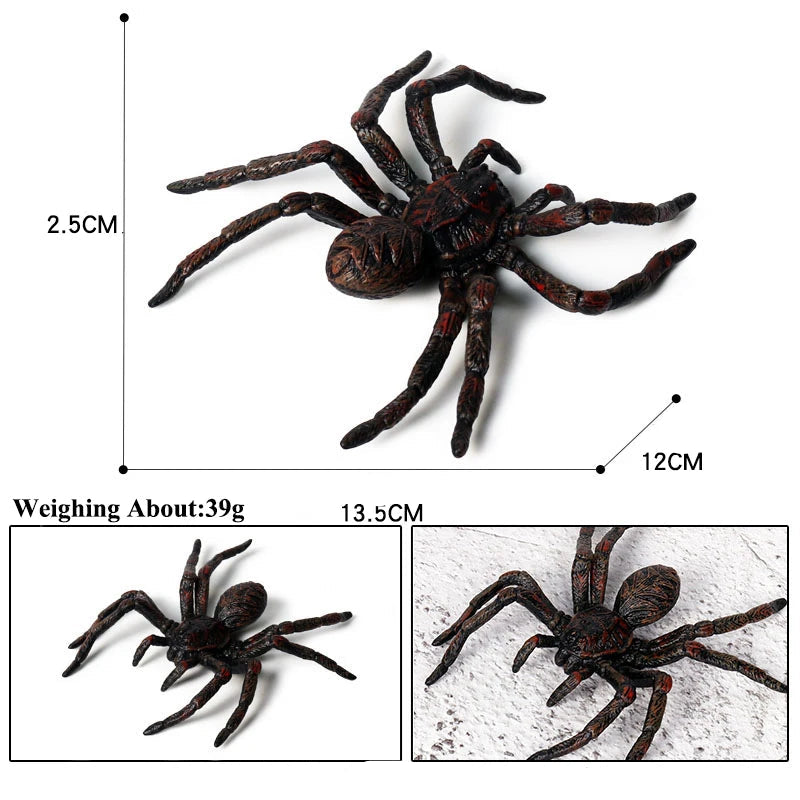 Araignée en Plastique Noire Unique