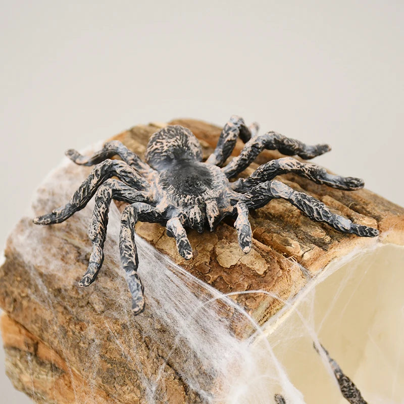 Araignée en Plastique Réaliste Durable