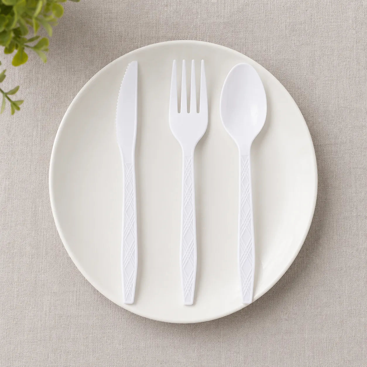 Couverts Jetables Blancs
