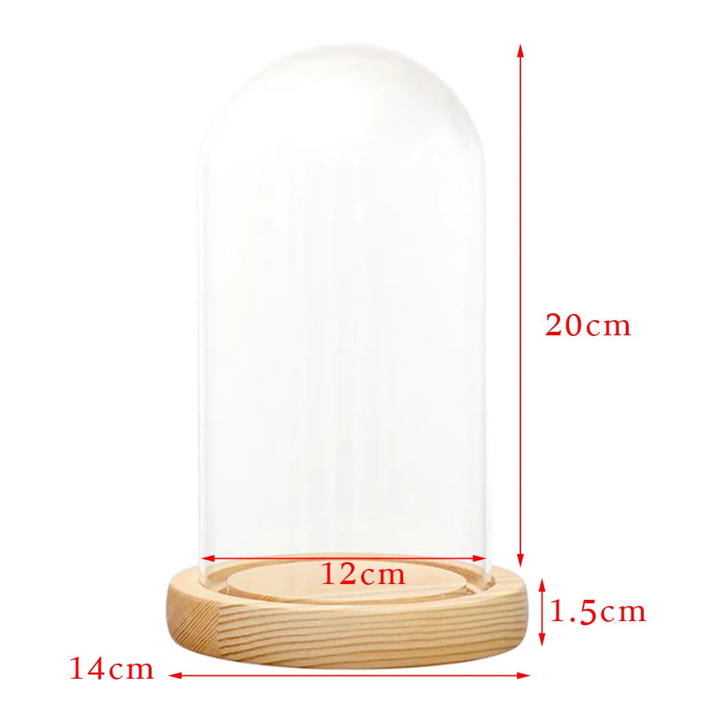 Cloche en Verre Lumineux Grand