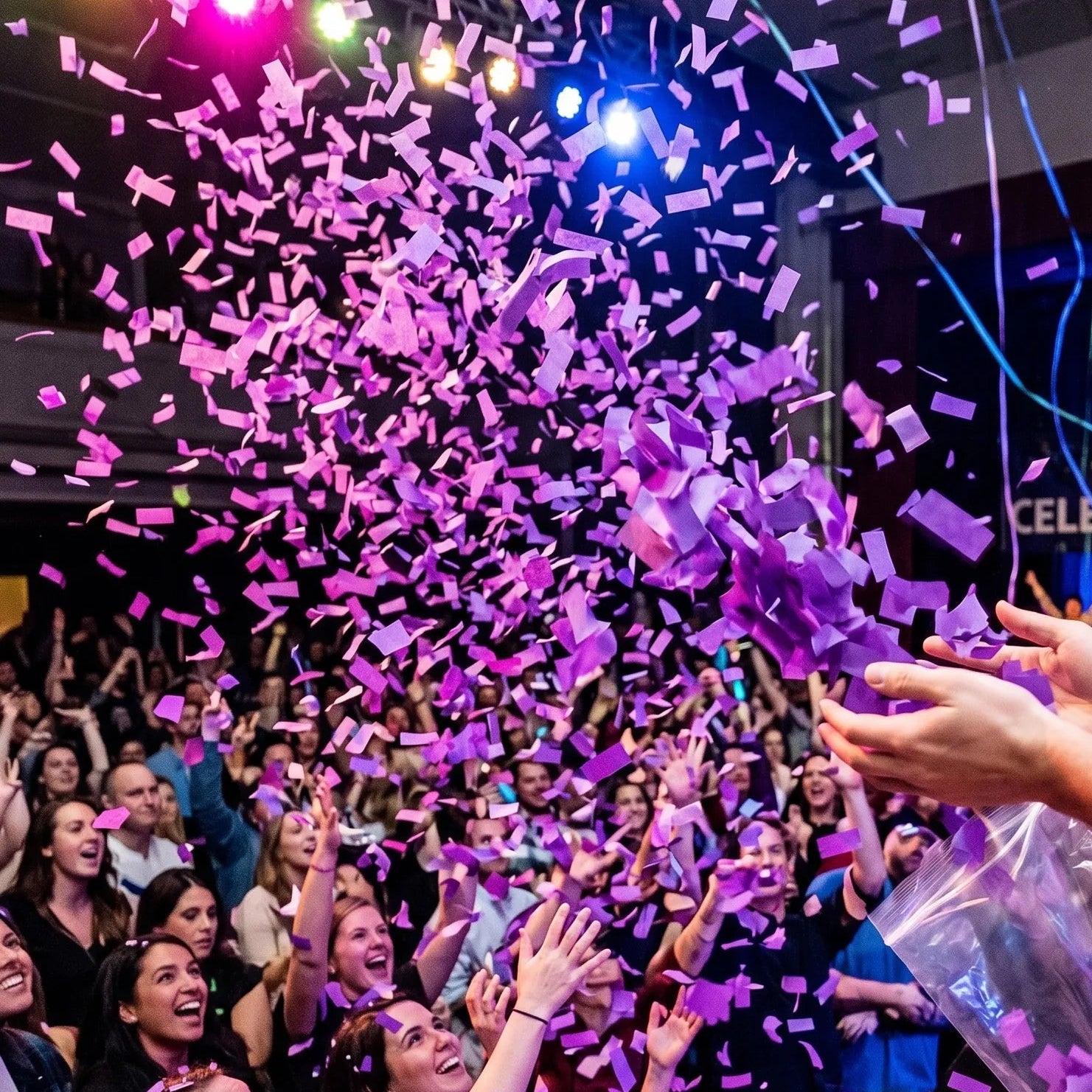 Confettis en Papier de Soie Violet Festif
