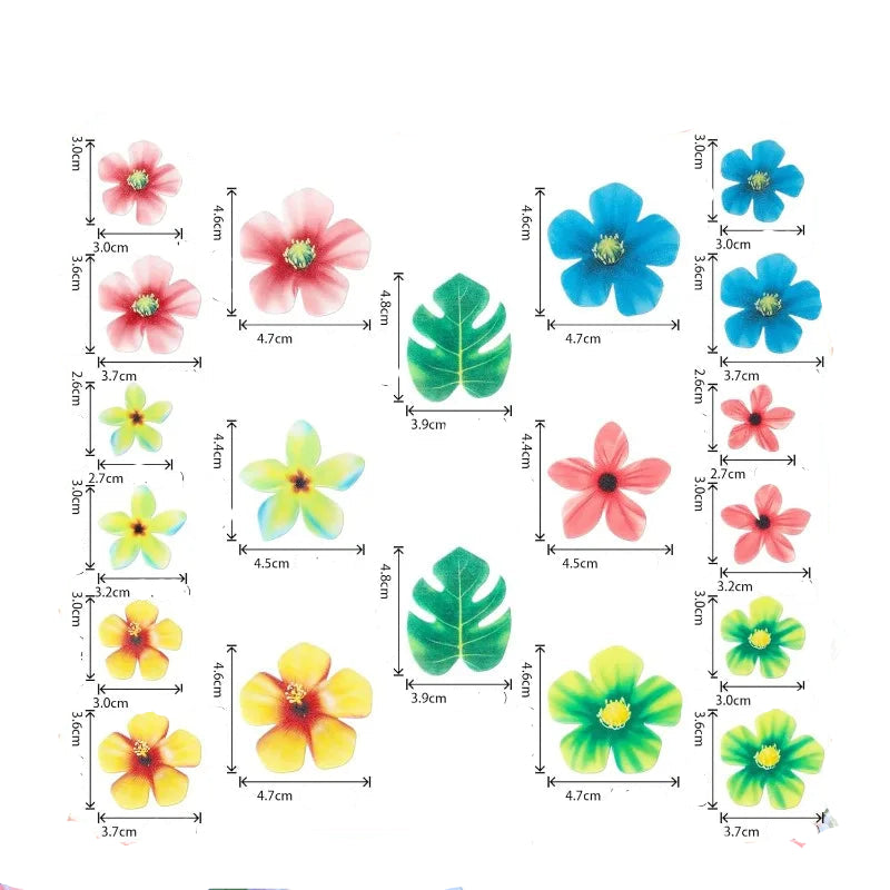 Déco Tropicales Comestibles pour Gâteau Dimensions