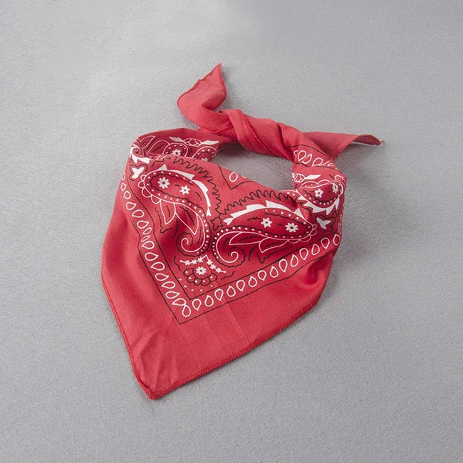 Ensemble Déguisement Cowboy Bébé Bavoir