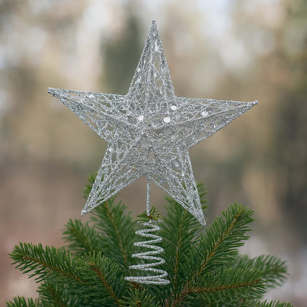Grande Etoile de Sapin Argentée à Sequins durable