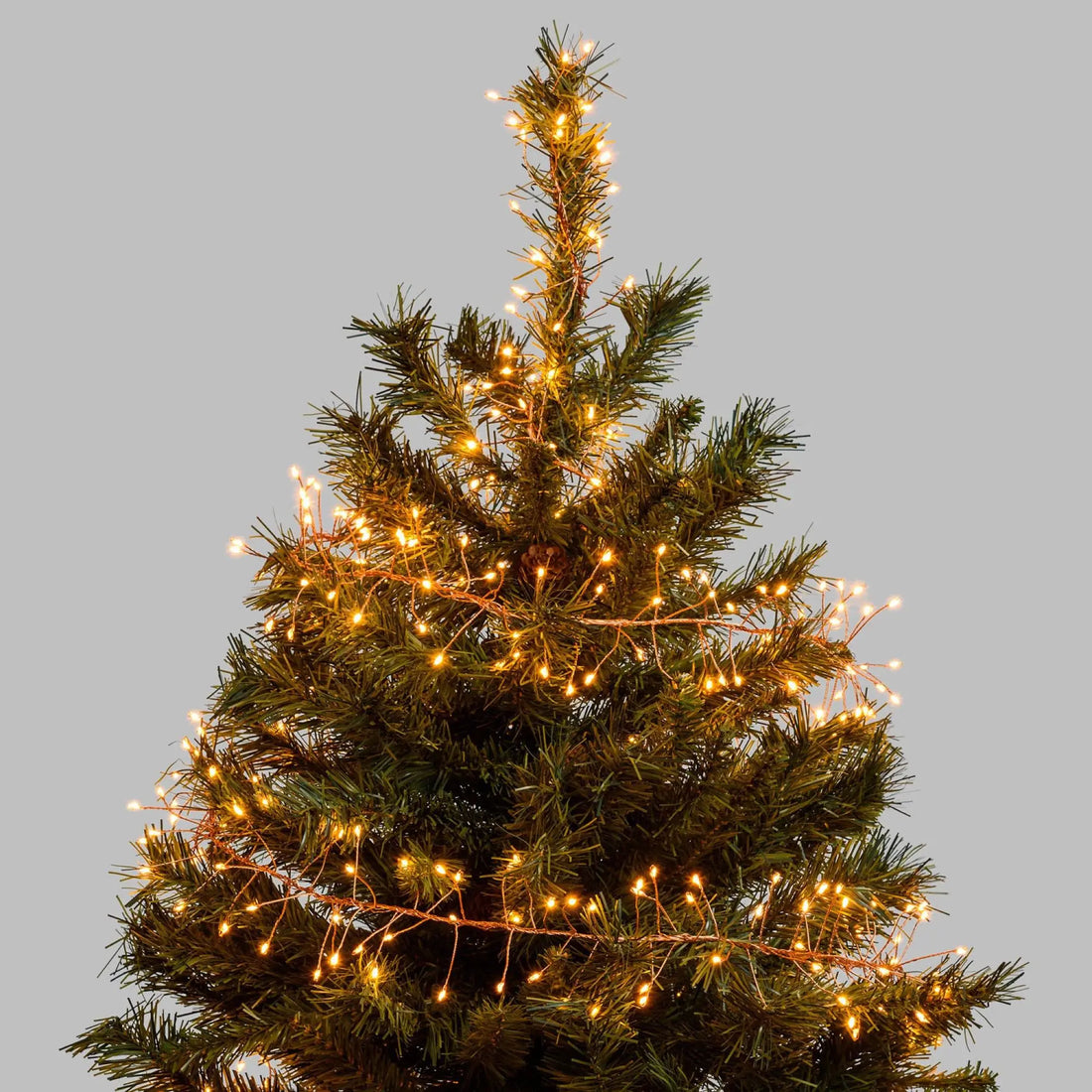 Guirlande Lumineuse Noël Jardin chic