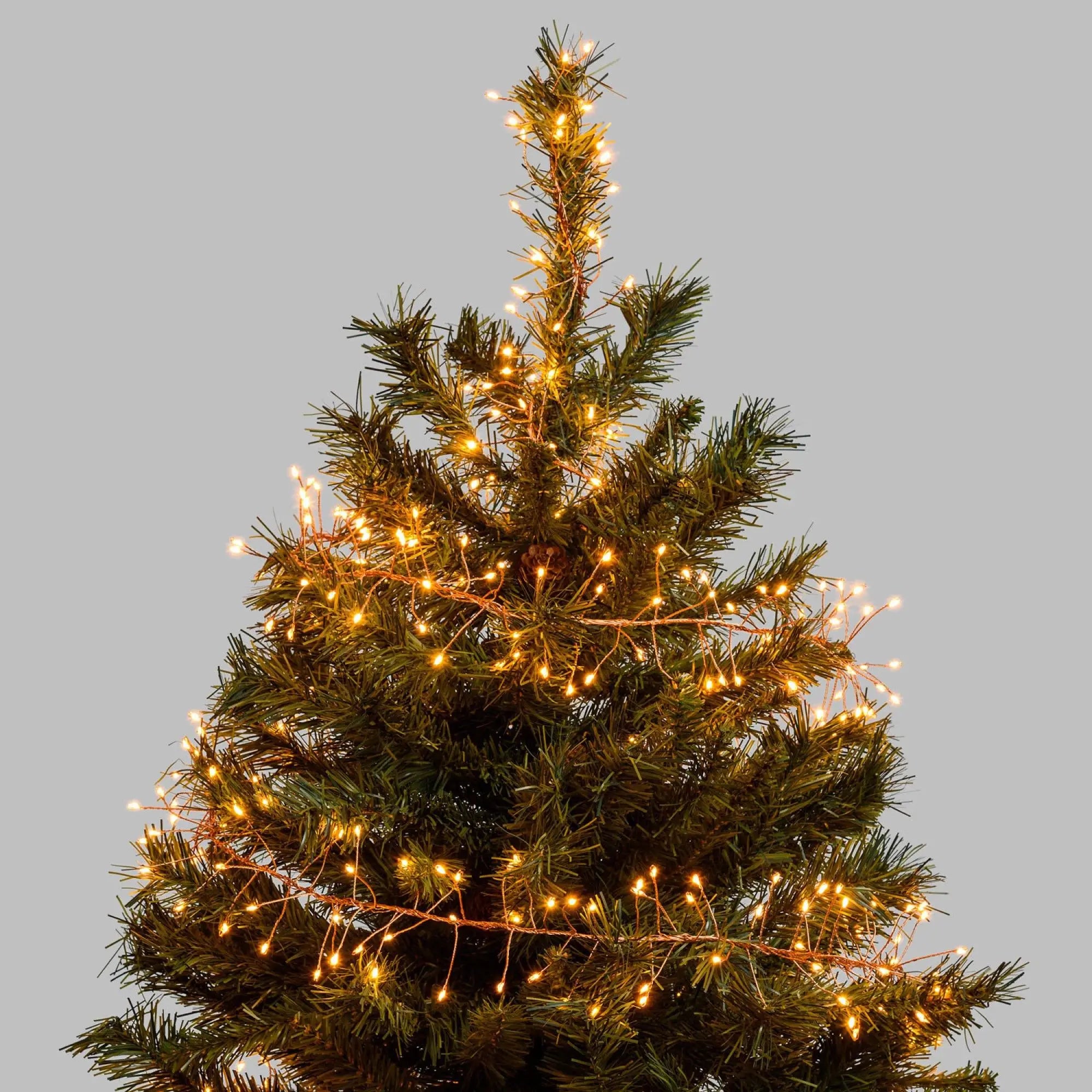 Guirlande Lumineuse Noël Jardin chic