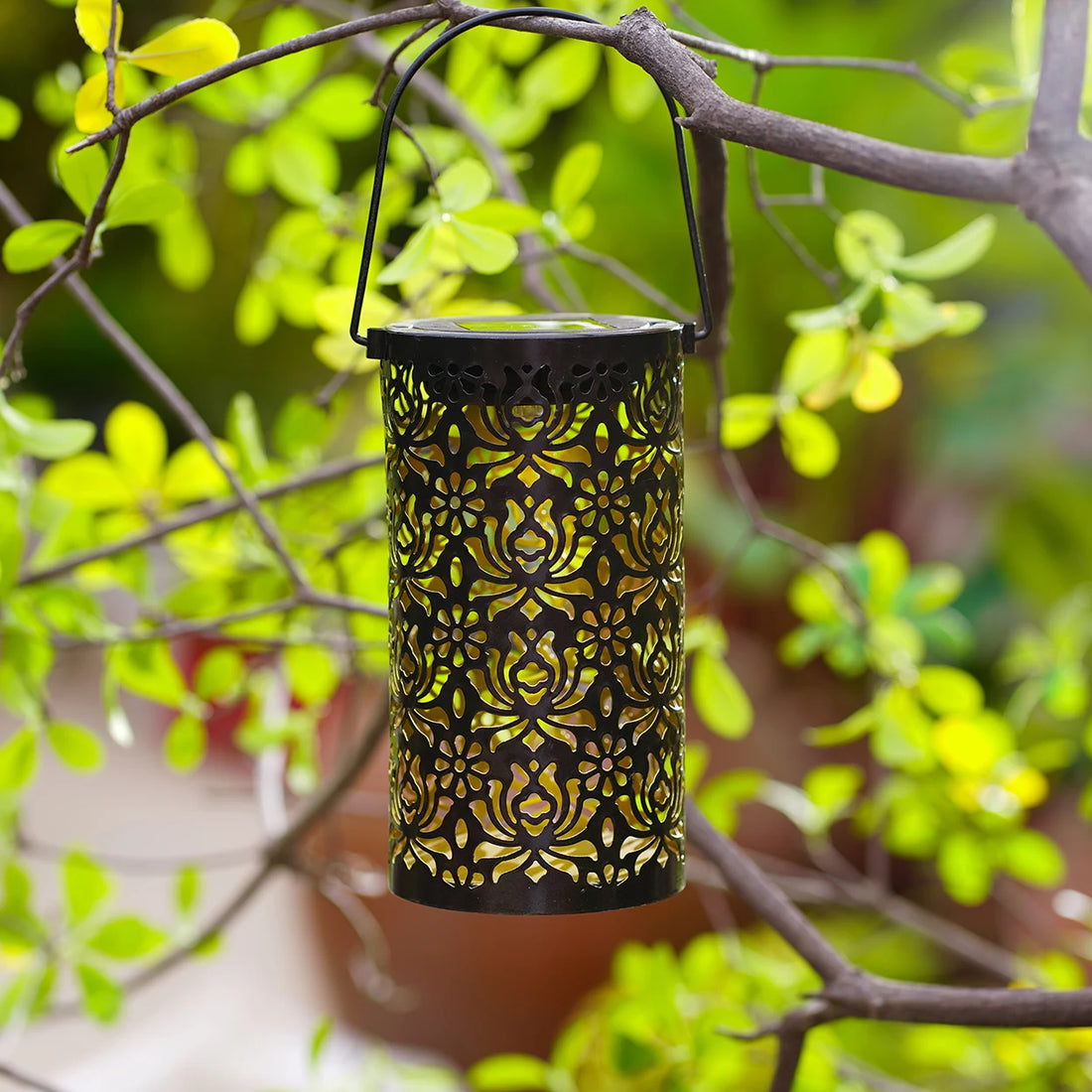 Lanterne Solaire Motifs Fleurs