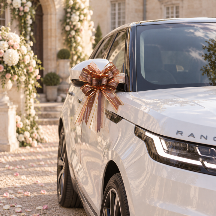 Nœud Automatique Voiture Mariage Chocolat
