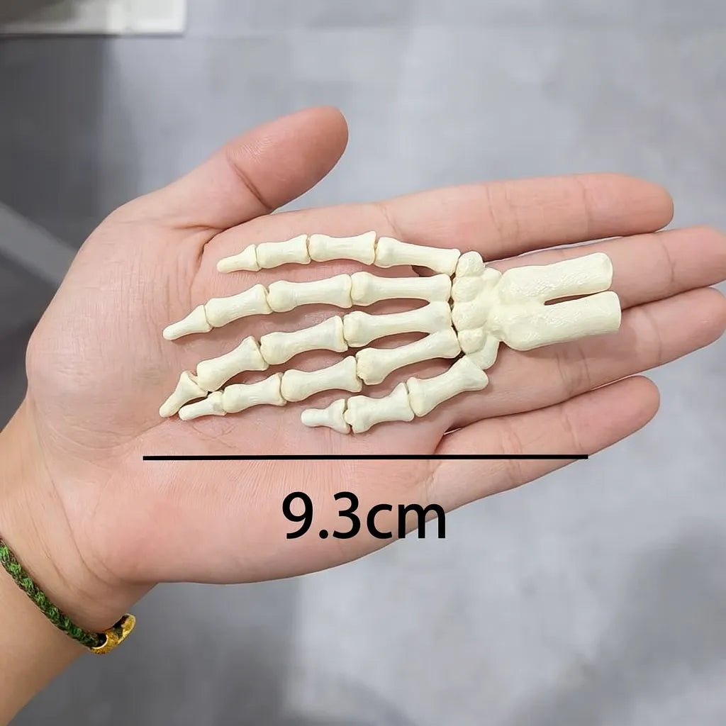 Paire de Main Squelettes Déco Ivoire