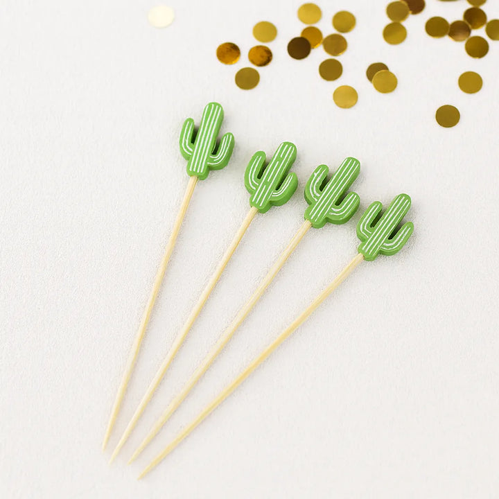 Pics Alimentaires Cactus