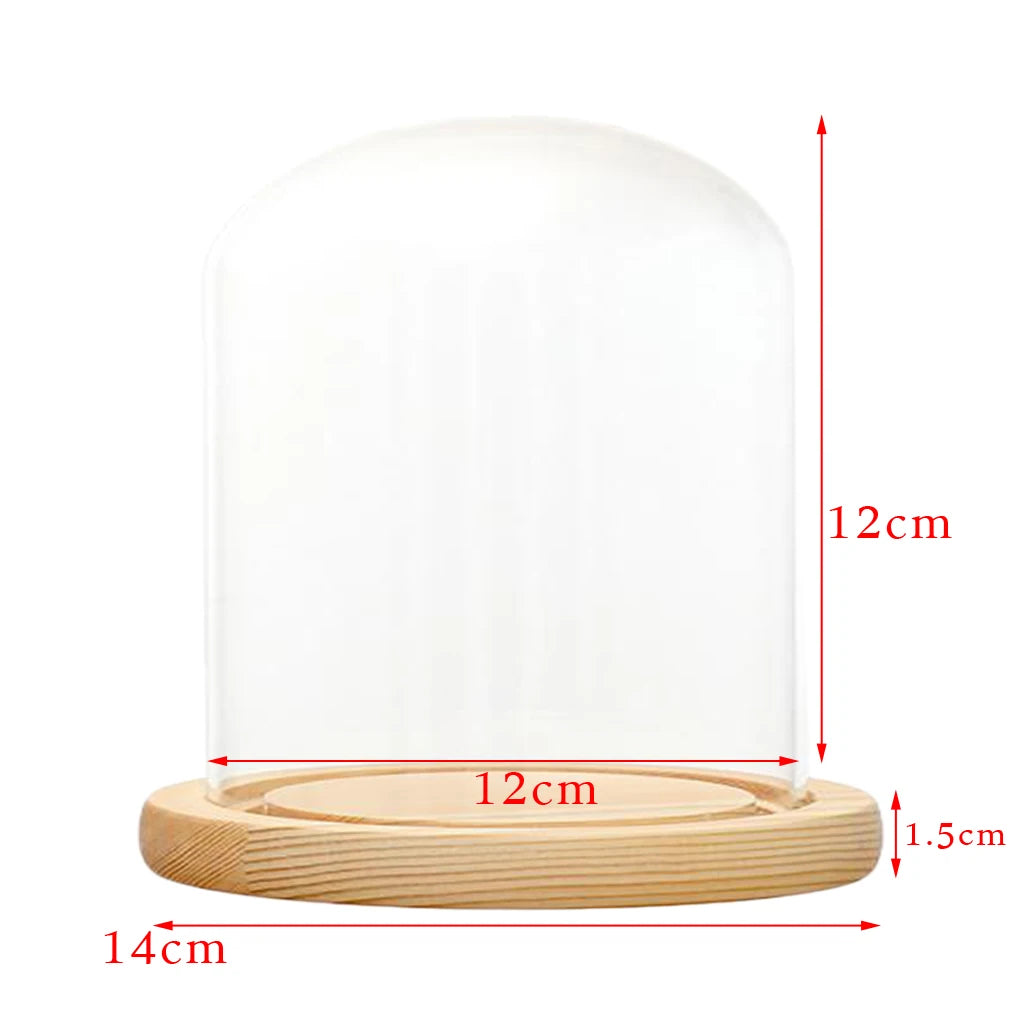 Cloche en Verre Lumineux