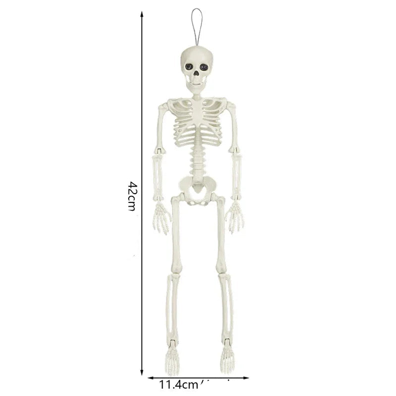 Squelette Flexible Décoration Halloween Réaliste