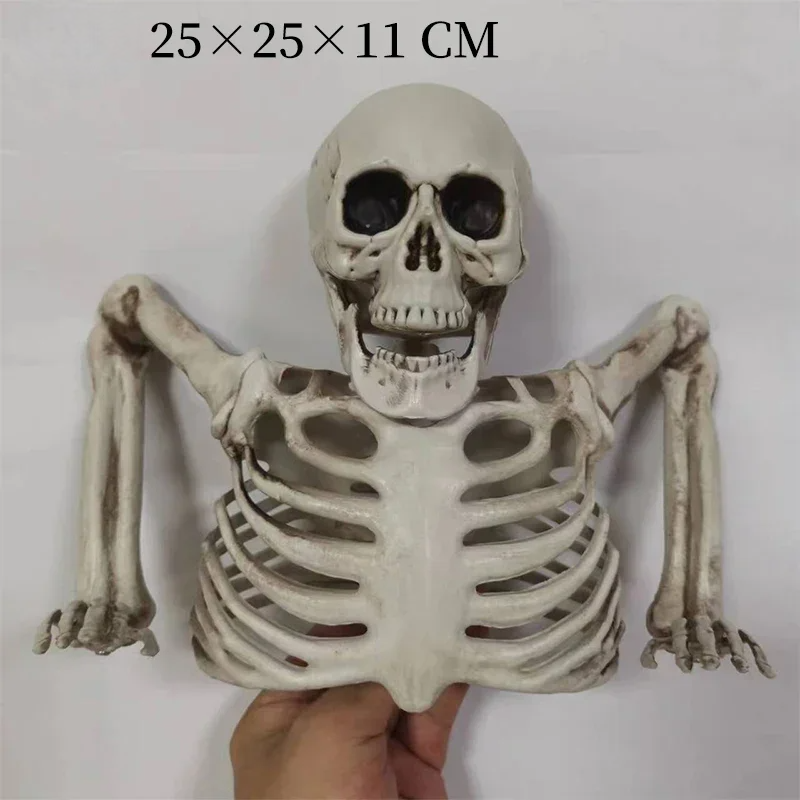 Squelette de Crâne Lumineux Taille