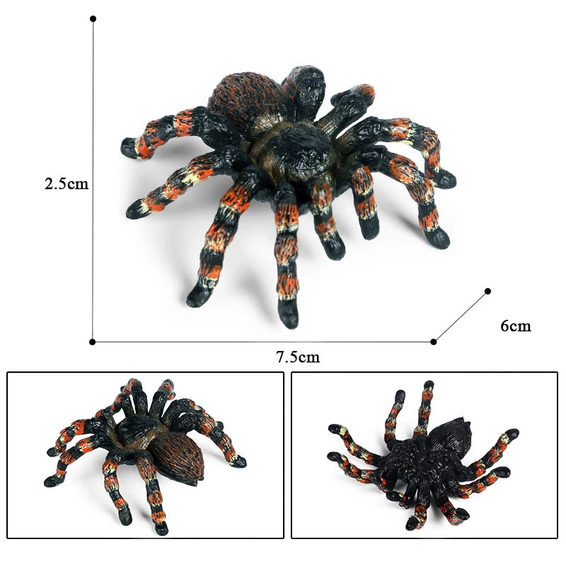 Tarentule Halloween Originale